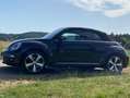 Volkswagen Beetle The Beetle Cabriolet 1.2 TSI (BlueMotion Tech) Sou Schwarz - thumbnail 3