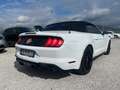 Ford Mustang SHELBY GT 500 Blanco - thumbnail 13