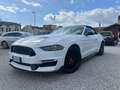 Ford Mustang SHELBY GT 500 Blanc - thumbnail 14