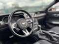Ford Mustang SHELBY GT 500 Bianco - thumbnail 8