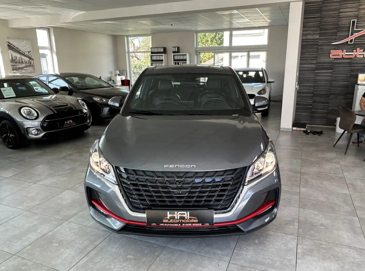 DFSK Fengon 500 Leder/Kamera Grau - 2