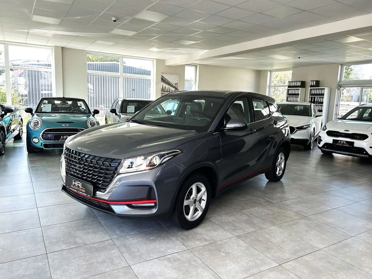 DFSK Fengon 500 Leder/Kamera Grau - 1