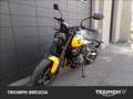 Triumph Trident 660 Abs Giallo - thumbnail 12