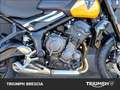 Triumph Trident 660 Abs Giallo - thumbnail 10