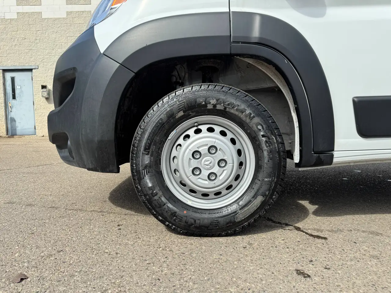 RAM Promaster снимка RAM Promaster
