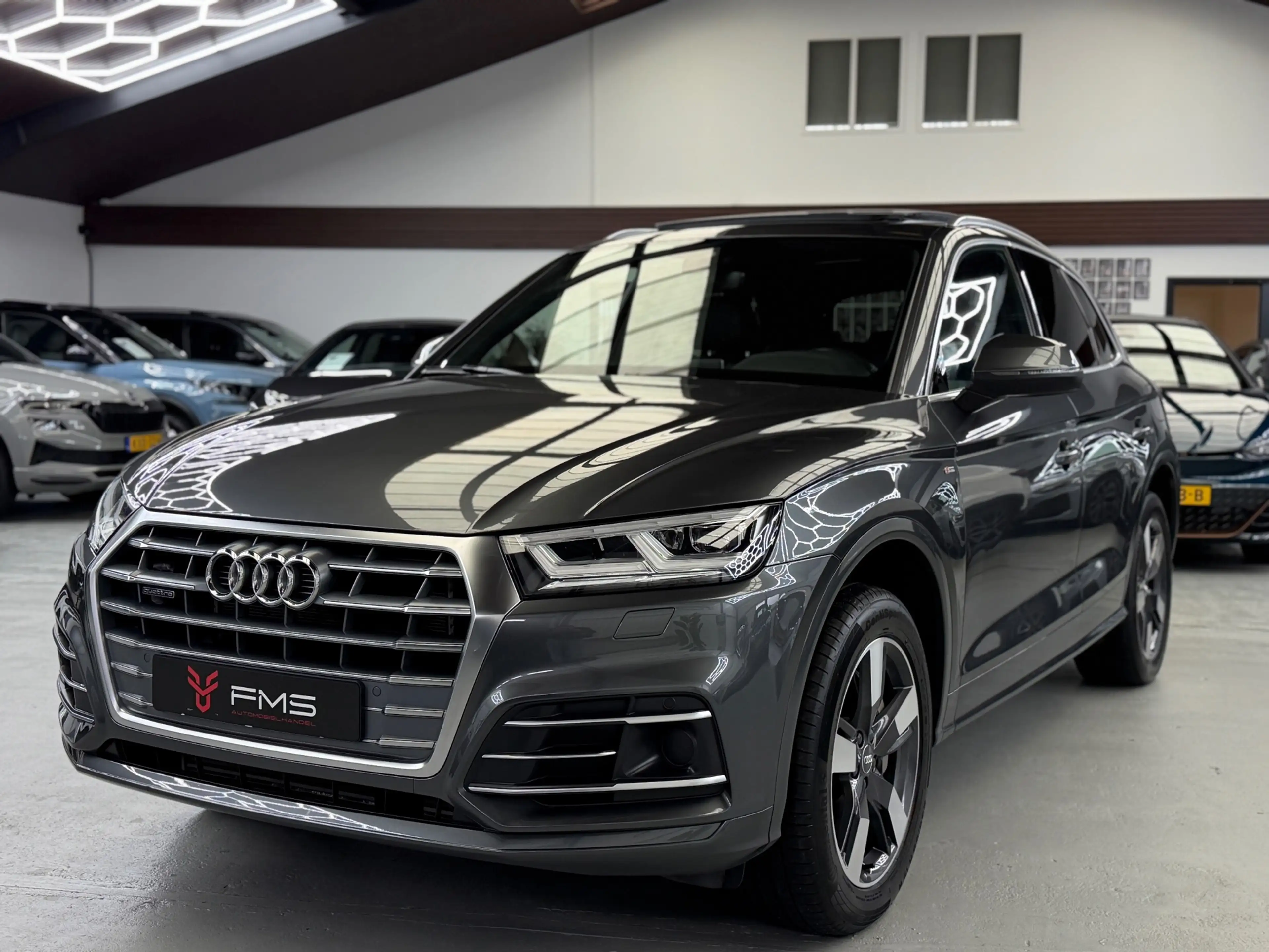 Audi Q5 50 TFSI E Quattro 3x S-Line Competition — photo 13