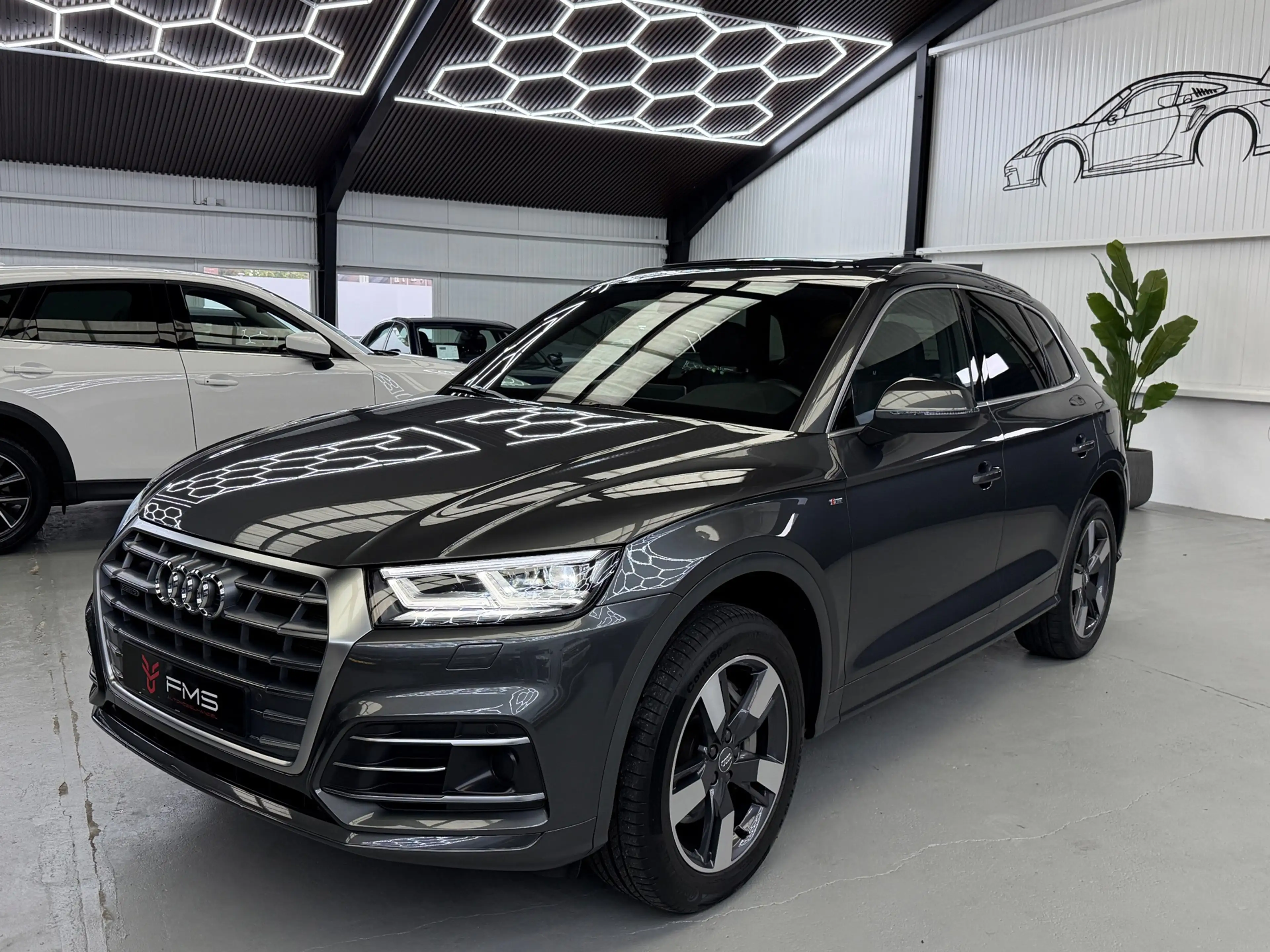 Audi Q5 50 TFSI E Quattro 3x S-Line Competition — photo 40