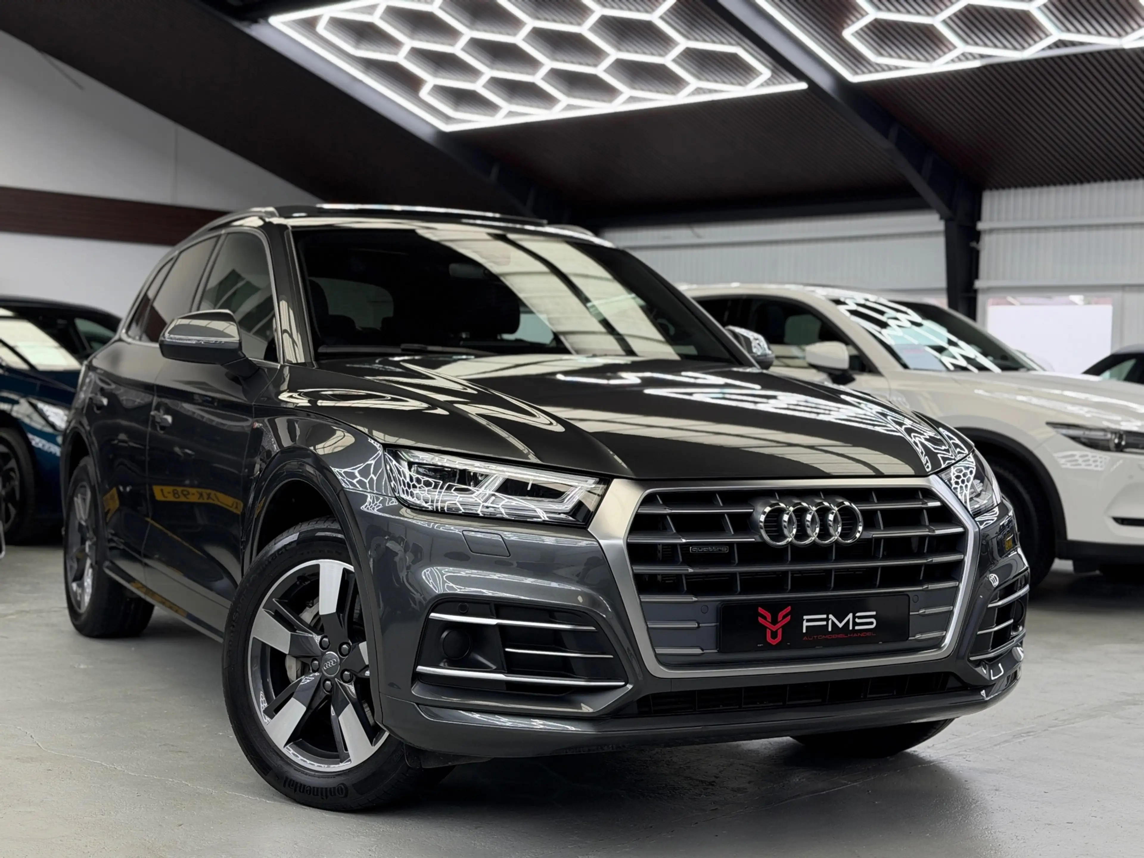Audi Q5 50 TFSI E Quattro 3x S-Line Competition — photo 27