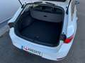 SEAT Leon Leon ST TSI Reference*PICKERL NEU*GARANTIE*LED*APP Weiß - thumbnail 26