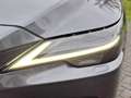 Lexus RX 450h 450h+ AWD Executive Line | Panoramadak, 21 inch, D Gris - thumbnail 4