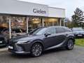 Lexus RX 450h 450h+ AWD Executive Line | Panoramadak, 21 inch, D Gris - thumbnail 35