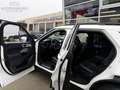 Ford Explorer 3.0 V6 EcoBoost PHEV ST-Line 7 Persoons Weiß - thumbnail 14