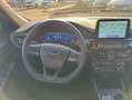 Ford Kuga 2.0 EcoBlue Aut. ST-LINE X Negro - thumbnail 14