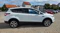 Ford Kuga Titanium 4x4 Aut. Navi Xenon SHZ LRhz. Blanc - thumbnail 5