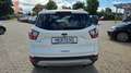 Ford Kuga Titanium 4x4 Aut. Navi Xenon SHZ LRhz. Blanc - thumbnail 3
