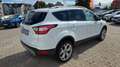 Ford Kuga Titanium 4x4 Aut. Navi Xenon SHZ LRhz. Blanc - thumbnail 4