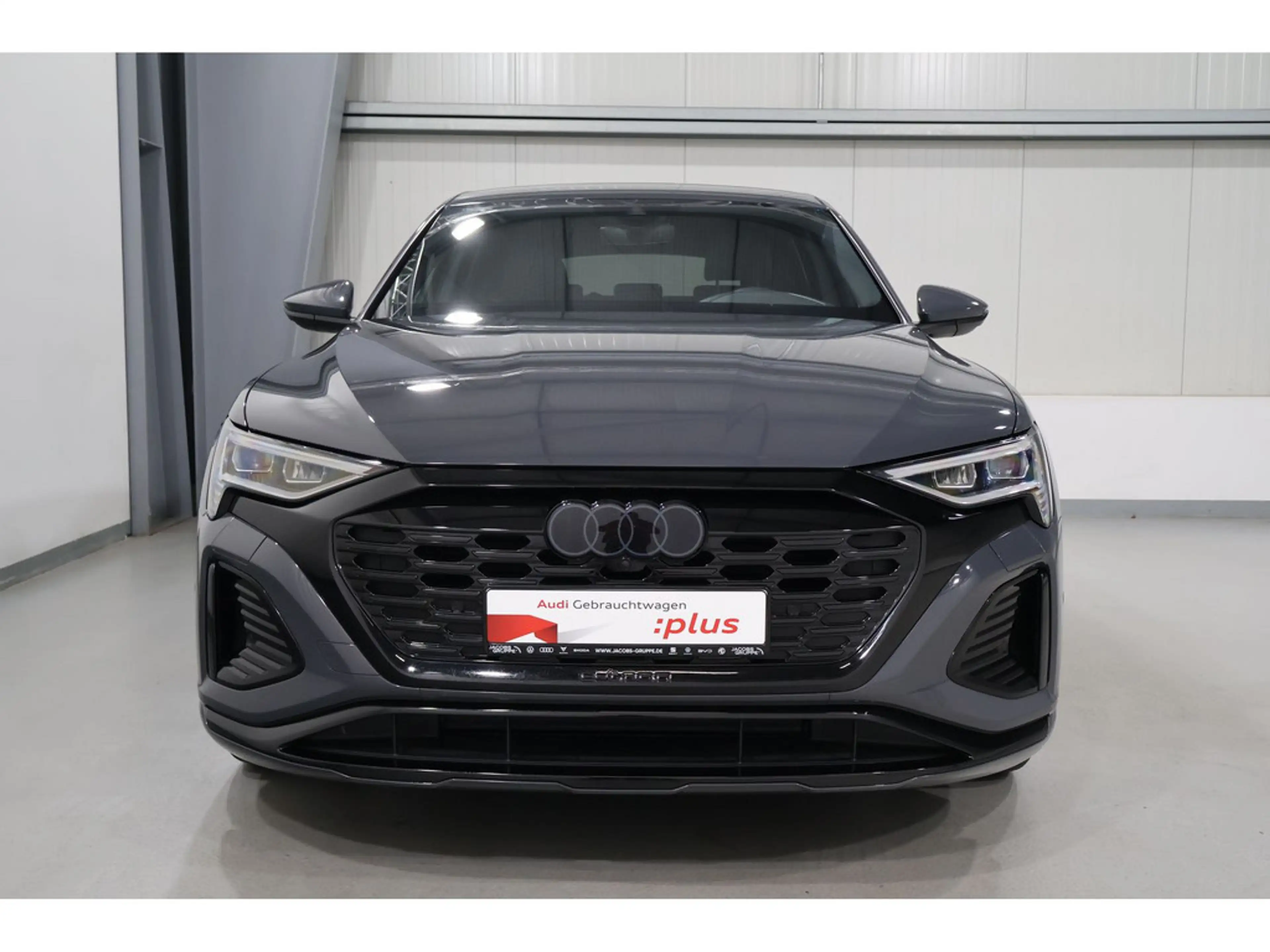 Audi Q8 e-tron 50 quattro S line Matrix*PDC*R-Kamera * — photo 3