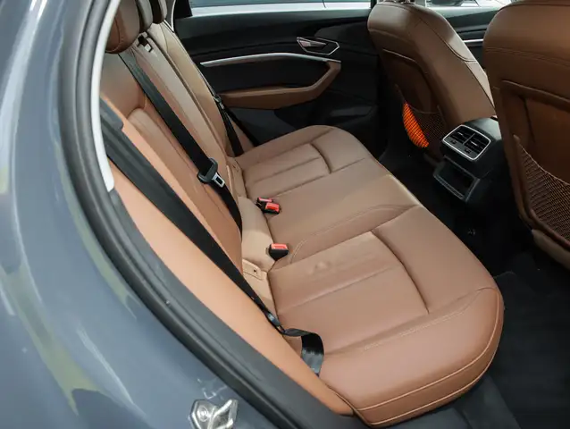 Audi Q8 E-Tron view 7