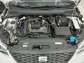 SEAT Arona 1.0 TSI S&S Style XM 110 Blanc - thumbnail 13