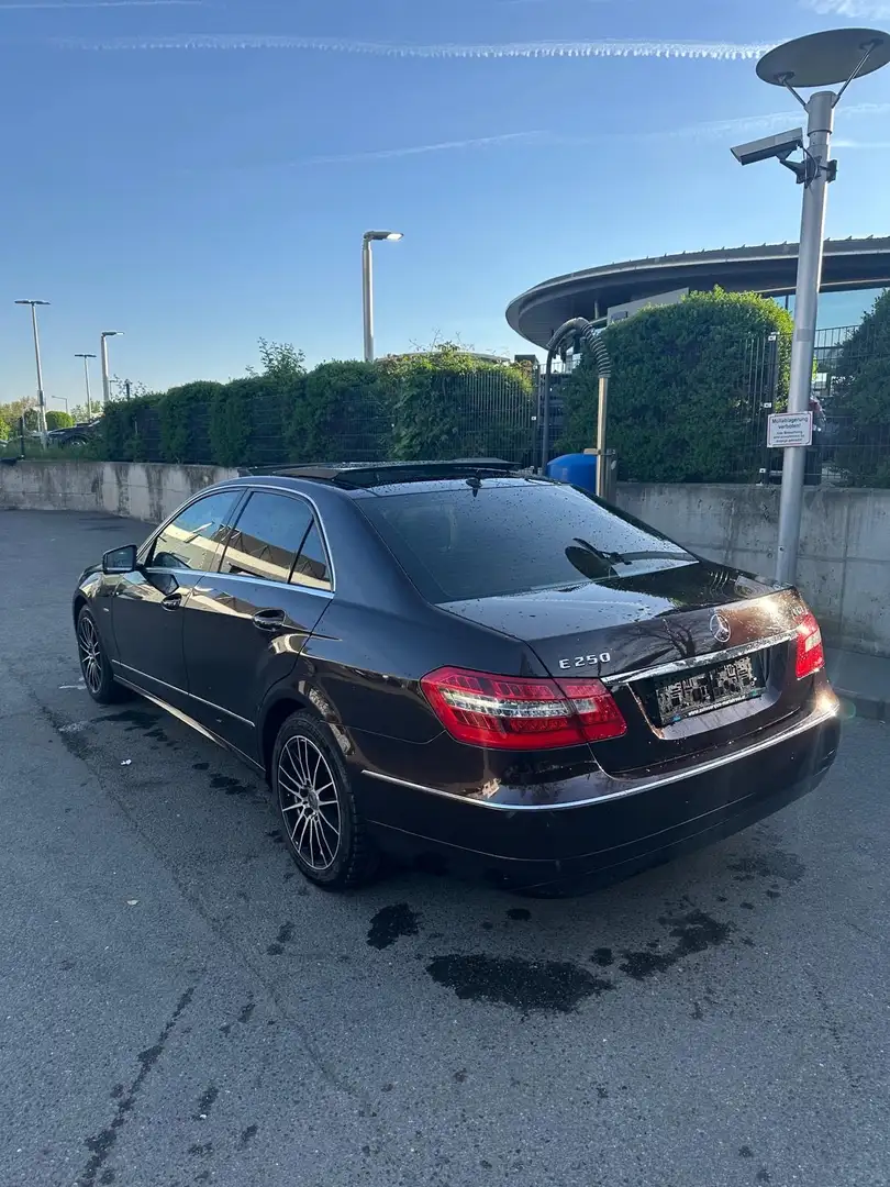 Mercedes-Benz E 250 Elegance BlueEfficiency CDI Aut. - 1