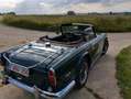 Triumph TR5 TR250 Verde - thumbnail 6