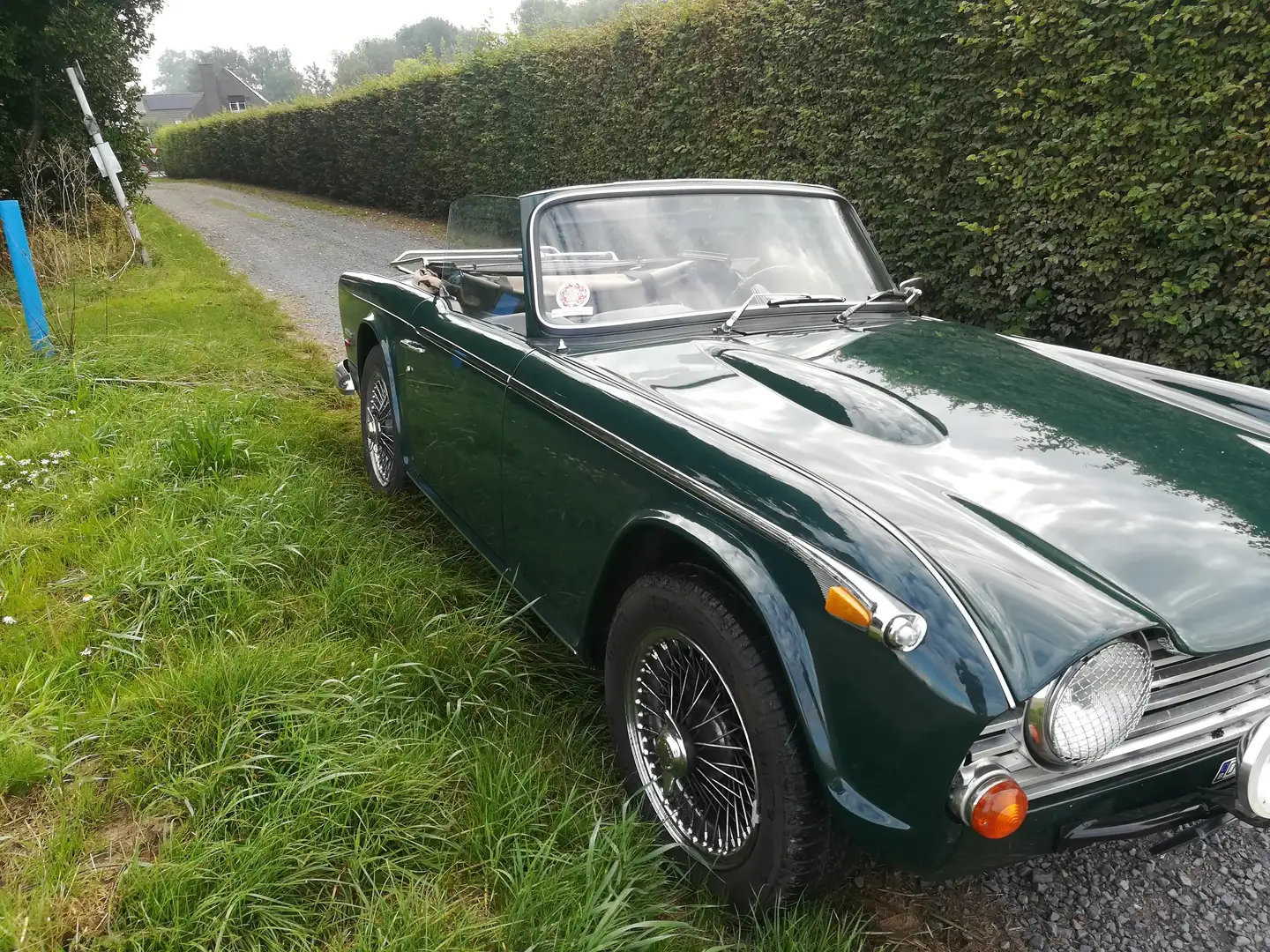 Triumph TR5 TR250 Grün - 1