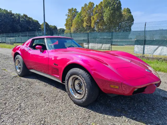 Corvette C3 Stingray T-Top