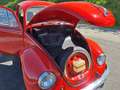 Volkswagen Käfer 1200 Rot - thumbnail 11