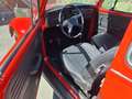 Volkswagen Käfer 1200 Rot - thumbnail 6