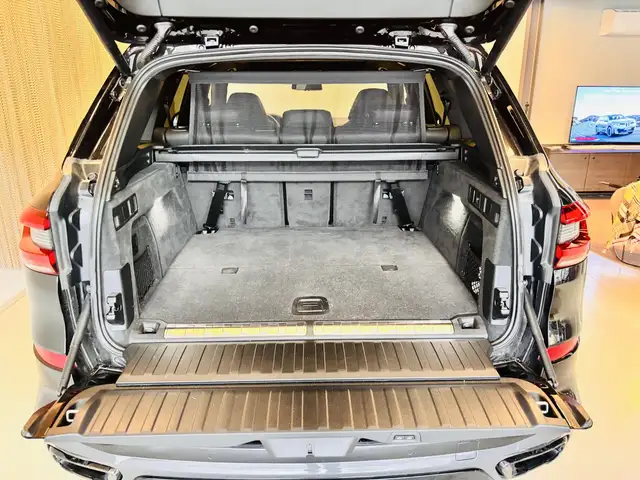 BMW X5 xDrive45e neue Bremsen Ansicht 20