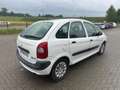 Citroen Xsara Picasso 1.6 HDI 90 - thumbnail 4