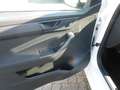 Skoda Fabia 1.0 MPI Active Bianco - thumbnail 7