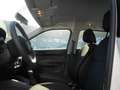 Skoda Fabia 1.0 MPI Active Bianco - thumbnail 13