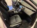 Land Rover Range Rover Evoque 5p 2.0 MHEV td4. 163 cv VIRTUAL PELLLE TOTALE - thumbnail 8