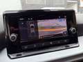 SEAT Ibiza 1.0 TSI S&S Style XM 110 Rood - thumbnail 13
