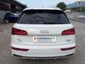 Audi Q5 2.0 TDI 190cv EU6D quattro S tronic S line plus Weiß - thumbnail 6
