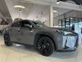 Lexus UX 250h Hybrid Midnight CVT PELLE 18'' SOLO 35.000 KM!! Grijs - thumbnail 42