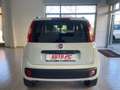Fiat Panda 1.3 MJT 80Cv 4x4 Van BLOCCAGGIO DIFFERENZIALE S&S Bianco - thumbnail 6