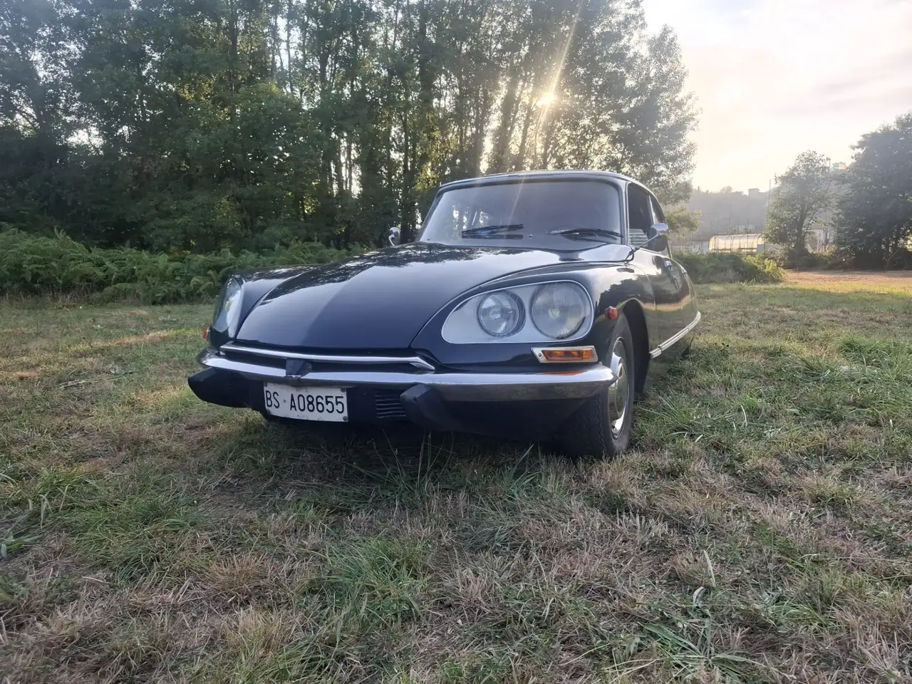 Citroen DS, foto 1