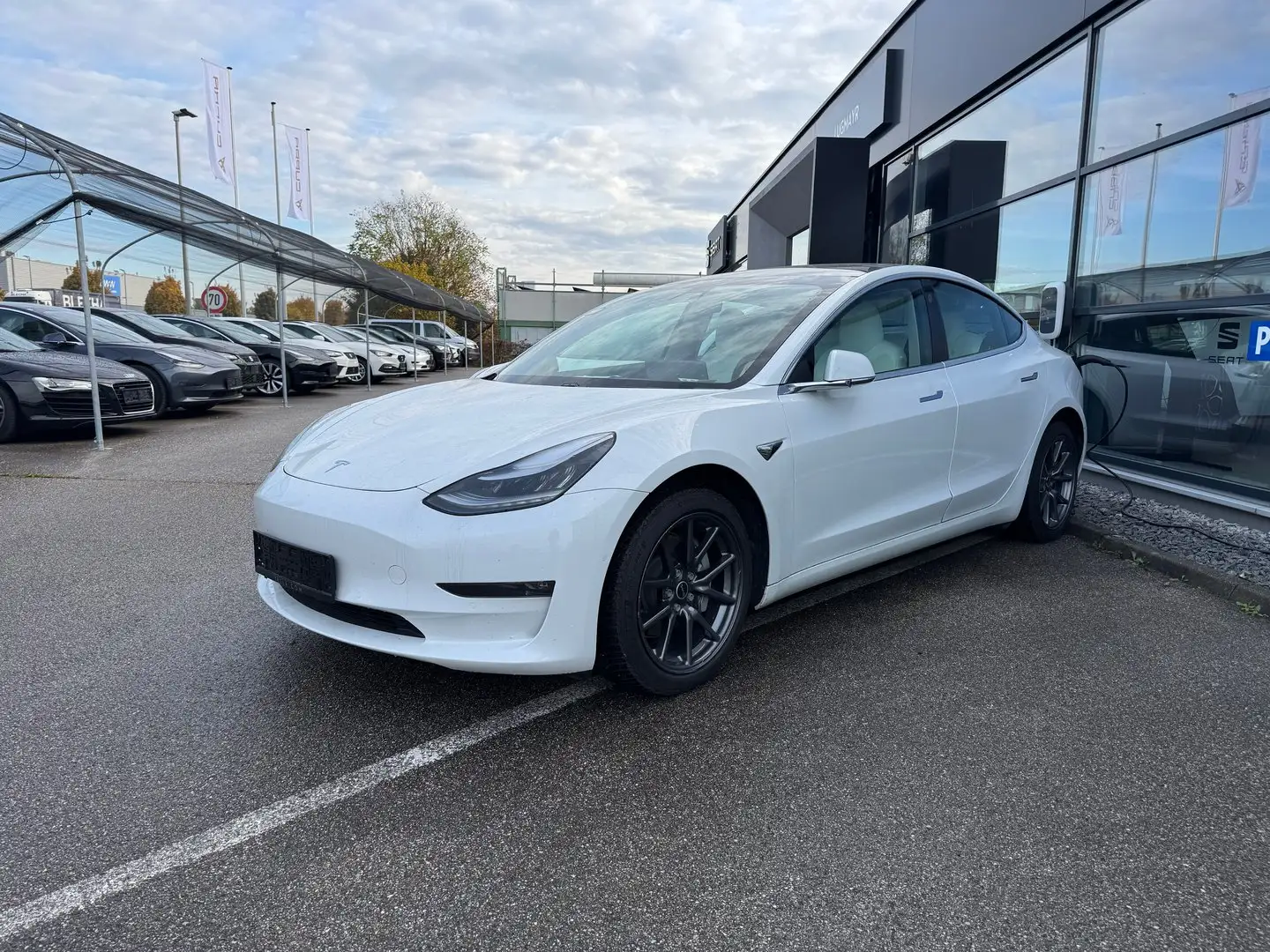 Tesla Model 3 Long Range AWD 75kWh Weiß - 1