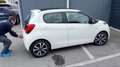 Citroen C1 Airscape 5p 1.0 vti Shine s&s E6 Cabrio Navi Camer Bianco - thumbnail 4