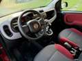 Fiat Panda 0.9 turbo boîte automatique prête a immatriculer Rood - thumbnail 6