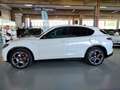 Alfa Romeo Stelvio 2.2 Td 210 CV Q4 Veloce PROMO Bianco - thumbnail 6