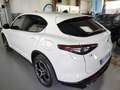 Alfa Romeo Stelvio 2.2 Td 210 CV Q4 Veloce PROMO Bianco - thumbnail 14
