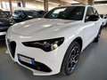 Alfa Romeo Stelvio 2.2 Td 210 CV Q4 Veloce PROMO Bianco - thumbnail 1