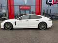 Porsche Panamera 2.9 4 E-Hybrid / panoramadak / memory / dodehoeks- Blanco - thumbnail 2