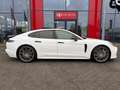 Porsche Panamera 2.9 4 E-Hybrid / panoramadak / memory / dodehoeks- Blanco - thumbnail 3