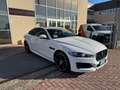 Jaguar XE 2.0d R-Sport 180cv auto Blanc - thumbnail 8