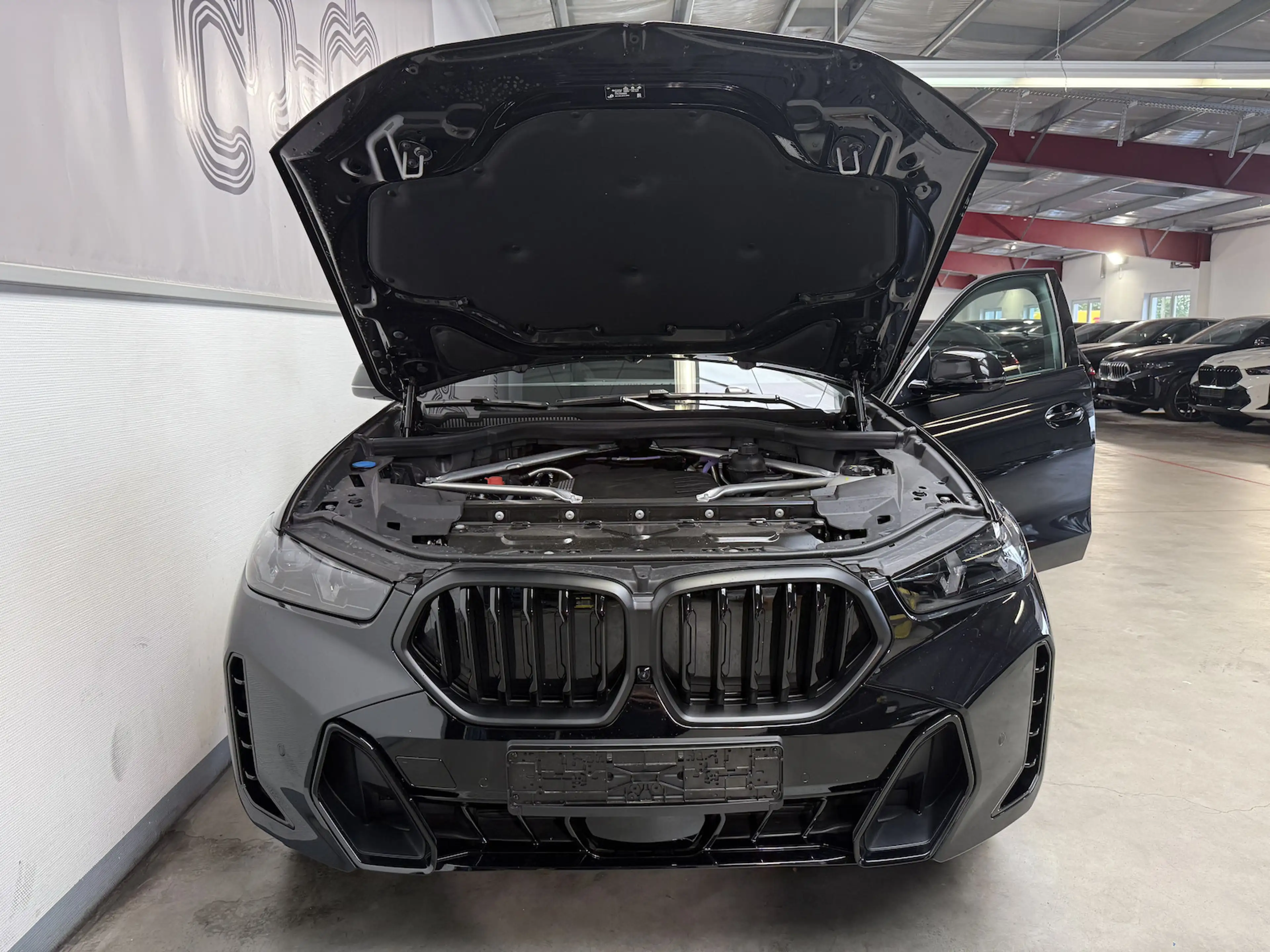 BMW X6 30 d xDr. M Sport Pro/LUFT/PANO/Softclose/HUD — photo 14