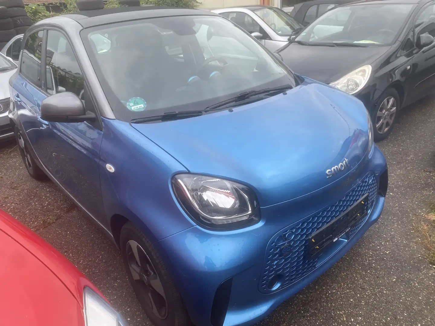 smart forFour electric drive / EQ (453.091) Blau - 2